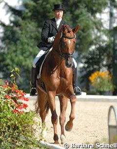 After Hohenstein, his son Münchhausen is becoming another Trakehner sire well liked by other warmblood breeders: Birkhofs Meraldik & Nicole Casper