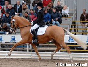4-yr-old pony stallions, bronze medalist FS Dior de Luxe with Chiara Jansen