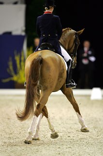 Laura Bechtolsheilmer and Mistral Hojris (by Michellino). Winners of the CDI Grand Prix
