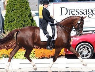 Micaela Mabragana on Granada at the 2007 Dressage at Devon CDI :: Photo © Sue Stickle