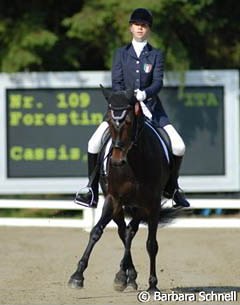 Italian Carolina Cassis on Bundeschampion Forestina