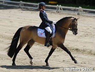 Angela Krooswijk on the German Reitpony stallion Power and Paint