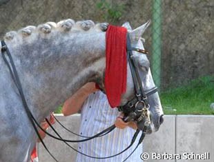 Cool down for Hohenstaufen after winning Young Riders individual test gold