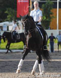 Jill de Ridder and Disco Boy preparing for their ride