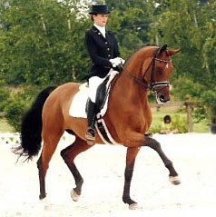 Jessica Michel on Riwera