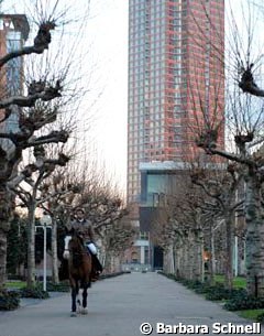 An unusual sight at the foot of the Frankfurt fairground tower, which is a distinct part of the "Mainhattan" skyline