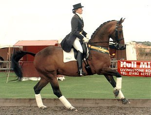 Lisa Hopkins and Nemo III at the 2007 CDN Fry