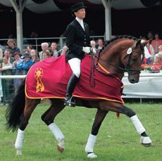 Nicole Casper on Alassio's Boy