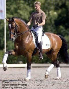 Edward Gal on Prestige VDL