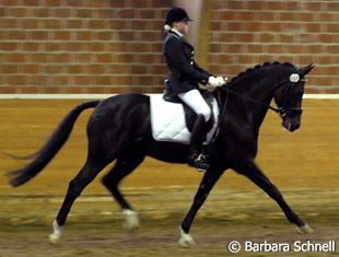 Viktoria Braun and D'Artagnon at the 2007 Pony Talent Search in Hünxe :: Photo © Barbara Schnell