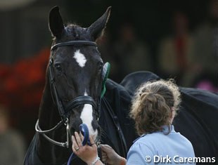 Salinero at the 2007 Dutch Championships
