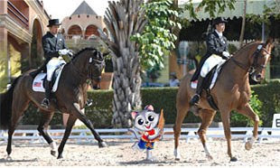 Dressage at the 2007 South East Asian Games :: Photo © Roz Neave