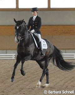 Louisa Luttgen on Habitus. Like Sanneke Rothenberger, Louisa qualified with three horses for Warendorf -- two ponys, Dornik B and her own Keep Cool, and with Habitus for the Junior riders tour (where she ended up at a respectable 6th place)