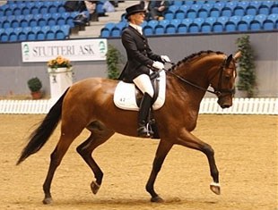 Pernille Orum on Overgaard's Lawell :: Photo © Ridehesten.com