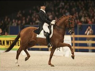 Aat van Essen on Premier at the 2007 Zwolle Stallion Show :: Photo © Dirk Caremans