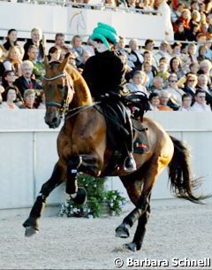 The horse in canter "played" Voldemort in the Harry Potter quadrille