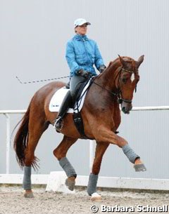 Nadine Capellmann schooling Elvis in the rain