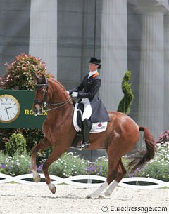 Adelinde Cornelissen on Parzival