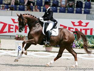 Heike Kemmer on her new horse St. Tropez (by Sion x Gloster). The contact with the bit was not optimal with lots of pulling in the Prix St Georges, but the horse did show lovely extended canter.