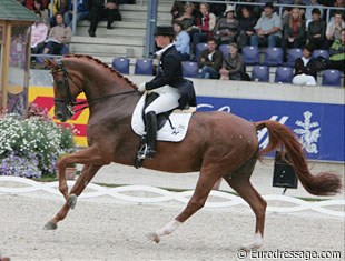 Isabell Werth and Warum Nicht FRH at the 2008 CDI Aachen :: Photo © Astrid Appels