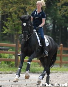 Junior rider Jill de Ridder is training Disco Boy in Balve