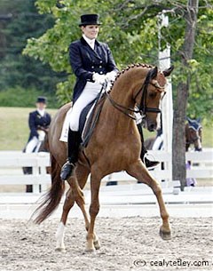 Ashley Holzer on Pop Art at the 2008 CDI-W Blainville :: Photo © Cealy Tetley