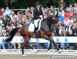 Heiner Schiergen on the 4-year old Riding Horse Champion Santorini OLD (by Stedinger x Donnerschwee)