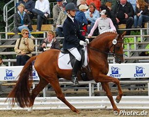 Northern Dancer at the 2008 Bundeschampionate :: Photo © Photec.de