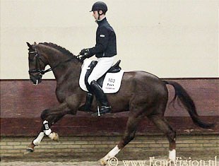 Hans Peter Minderhoud test-riding Zaragoza :: Photo © Equivision.nl