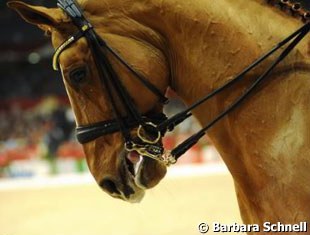 Open mouths, blue tongues, bad connection. It also happened in Frankfurt. Holga Finken asked for Rusty's score to be struck from the record because the horse slipped his tongue over the bit.