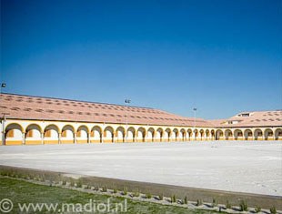 Portuguese Dressage Academy