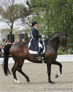 Jeannette Haazen on her number one Grand Prix horse Nartan (by Jazz)