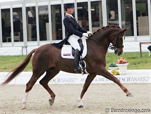 Carl Hester took over the ride on Dolendo (by Donnerhall) from his partner Spencer Wilton with the goal to qualify for the British Olympic team.