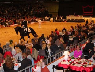 The auction at the Danish warmblood stallion licensing