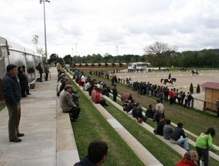 The show ring at Ponte de Lima