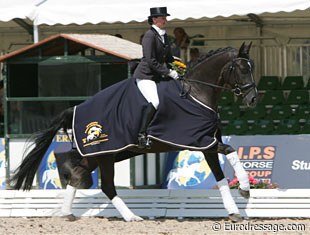 Nadine Plaster and Desperado OLD win the 5-year old qualifier in Verden :: Photo © Astrid Appels