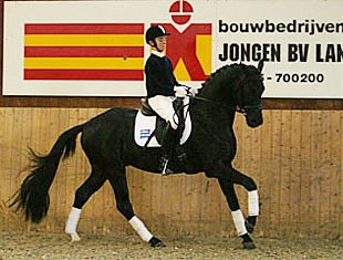 Sönke Rothenberger aboard Florinero at Stable de Ijzeren Man in Weert