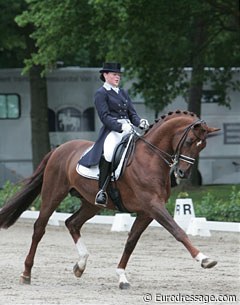 Dutch Kim Vugts on the gorgeous Westfalian stallion Feinsinn NRW, which was constantly tilting his head to the right in the consolation finals.