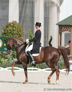 Hans Peter Minderhoud on Nadine (by Partout) :: Photo © Astrid Appels