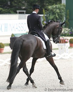 A green Grand Prix pair with potential. Verliefden's Rubel tends to push himself high but when she has him through the back, she's able to score! The zig zag and final piaffe-passage were a good display of what these two can do!