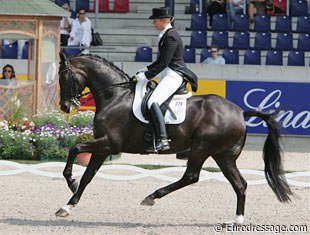What a hindleg!! Anne van Olst's Dutch warmblood Taikoen (by Negro) has a super charged engine behind!