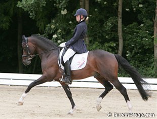 ...No longer riding Power and Paint, Rachell Fokker now has Welsh pony stallion Orchard Boginov