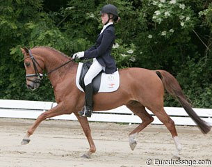 FEI Dressage Pony Lasco at the 2009 CDI-P Bonn