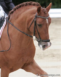 Rikke Lindberg's Brooklands Moonwalker. They lost many points for the pony sticking out his tongue. Pity