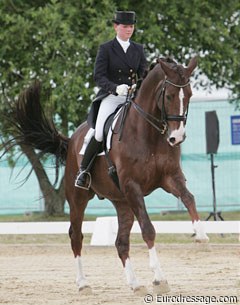 Katharina Winkelhues on her new young riders' horse Big Albert (by Brentano II)