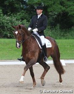 Heiner Schiergen on Dancing Elvis