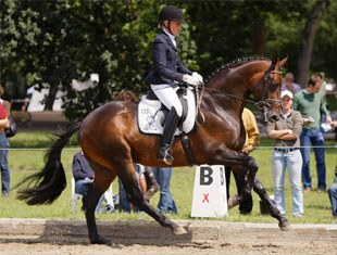 PSI rider Stefanie Kerner on the Trakehner Licensing Champion Grand Passion (by Oliver Twist x Polarion)