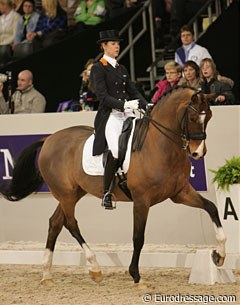 Stephanie Peters on Jeff (by Jet Set). Peters was one of two riders who forget to execute the rein back. This movement has been inserted in the new Grand Prix test, which became effective in January 2009.