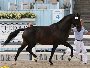 Iron Spring Farm's Rabiola :: Photo © Bill Wertman