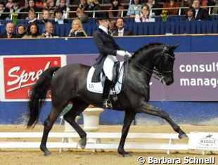 Young rider Hedda Droege aboard Fifth Avenue (by Florestan). This horse sold as a youngster at the Munster Elite Auction for 20,500 euro. The gorgeous Westfalian is now doing the Grand Prix